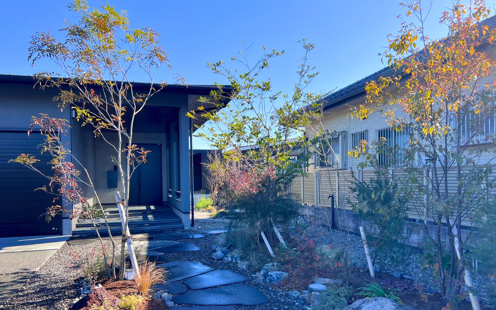 ミワタセルトニワ