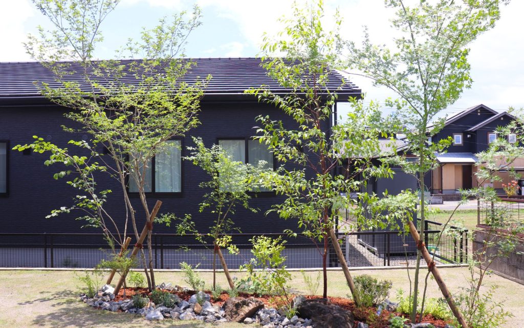 ヒケシノオニワ