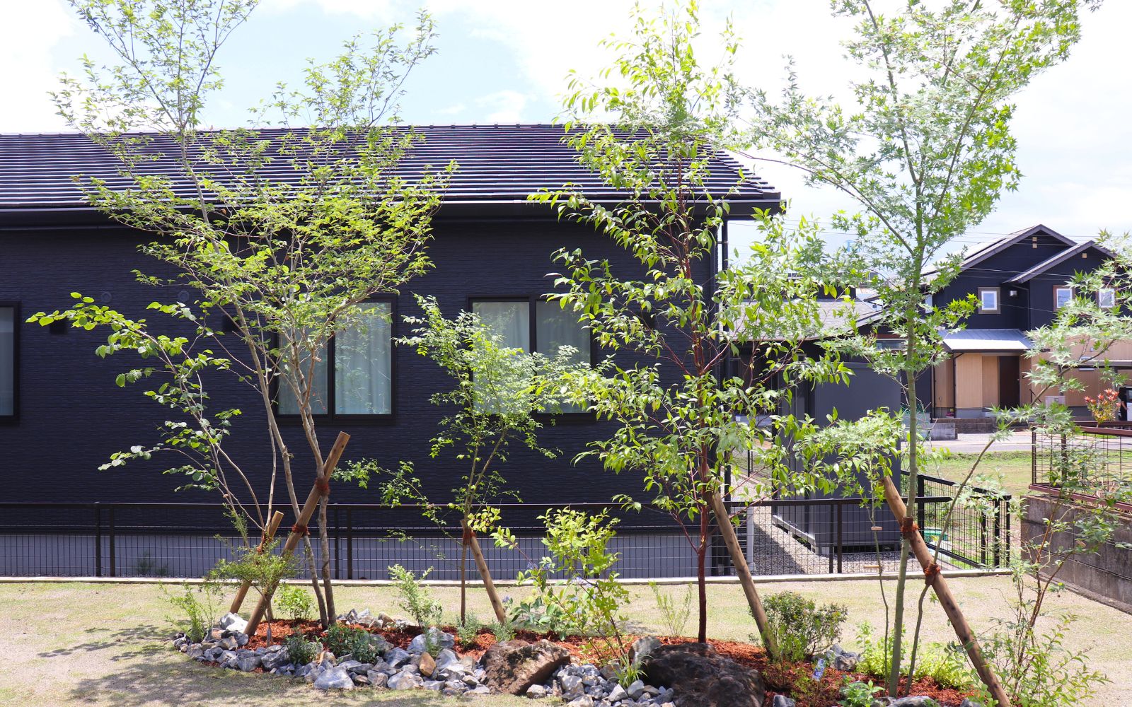 ヒケシノオニワ